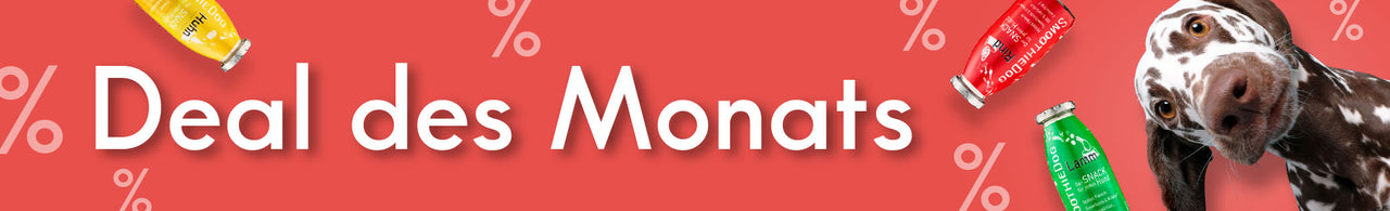 Zum Deal des Monats für Hunde – Hund neben rabattierten SmoothieDog Produkten. Jetzt Angebot entdecken.