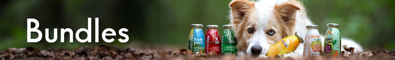 Zu den Bundles für Hunde – Hund neben verschiedenen SmoothieDog Sorten. Jetzt Bundles entdecken.