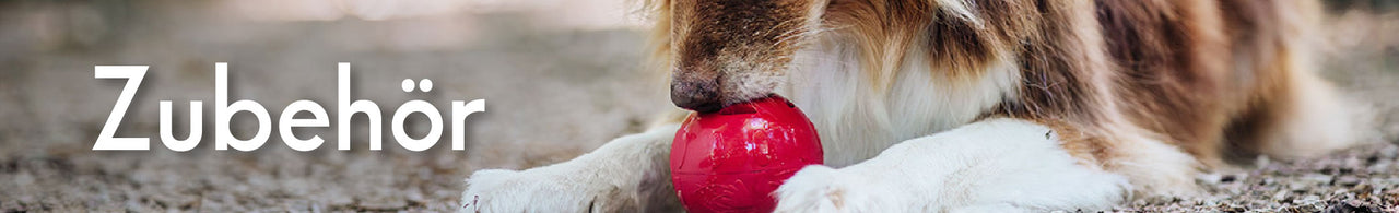 Zur Kategorie Zubehör für Hunde – Hund spielt mit rotem Schleckspielzeug. Jetzt Zubehör entdecken.