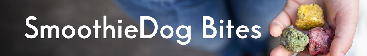 Zu SmoothieDog Bites – Hand hält gefriergetrocknete Hundesnacks und zeigt die Verpackung. Jetzt Bites entdecken.