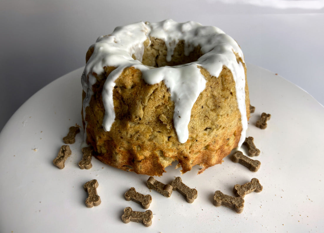 Auf einem weißem Teller ist ein Hundekuchen aus einer Gugelhupf-Form.