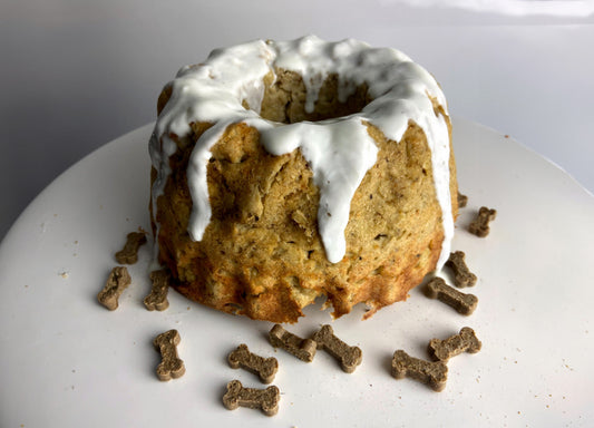 Auf einem weißem Teller ist ein Hundekuchen aus einer Gugelhupf-Form.