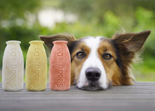 SmoothieDog Eisfreude – Erfrischung in Flaschenform!