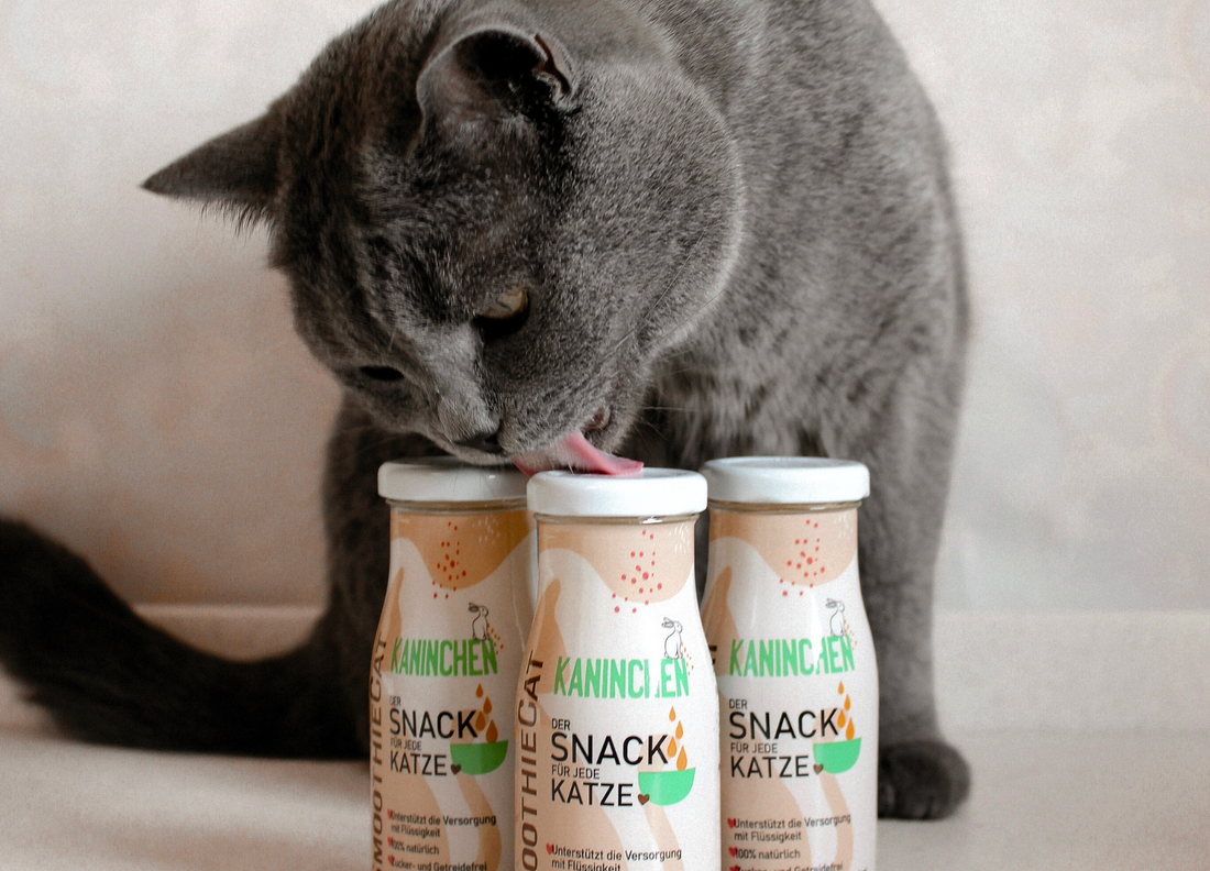 Katzensnack mit Sinn: Der fleischige Smoothie für Katzen