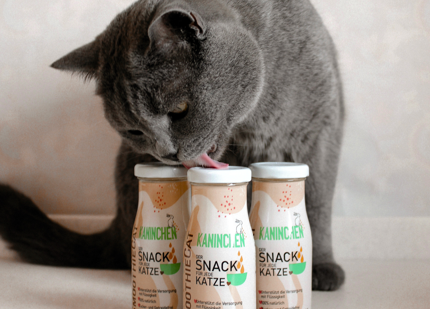 Katzensnack mit Sinn: Der fleischige Smoothie für Katzen