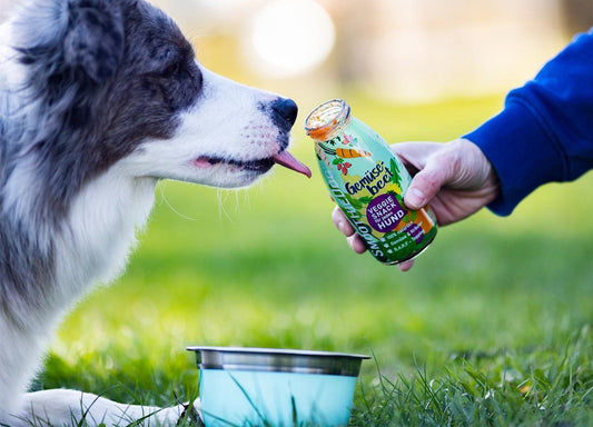 Zeigz einen Hund der im Graß liegt und an der SmoothieDog Sorte Gemüsebeet schleckt.
