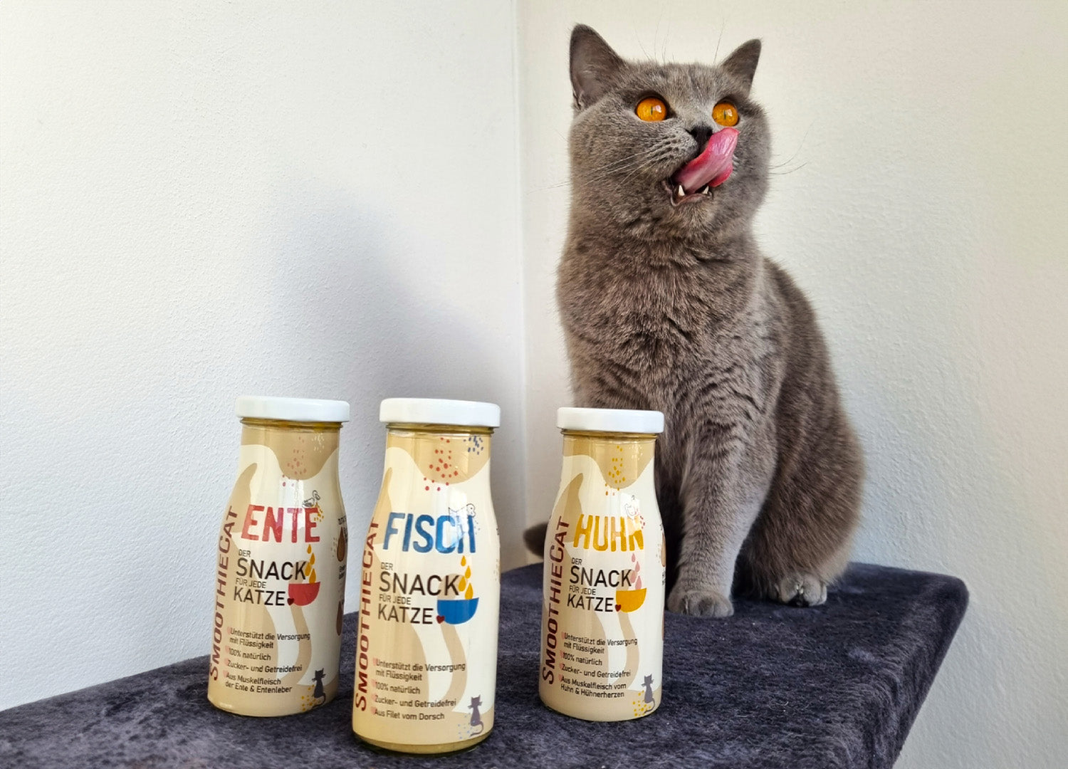 SmoothieCat Katzensmoothies