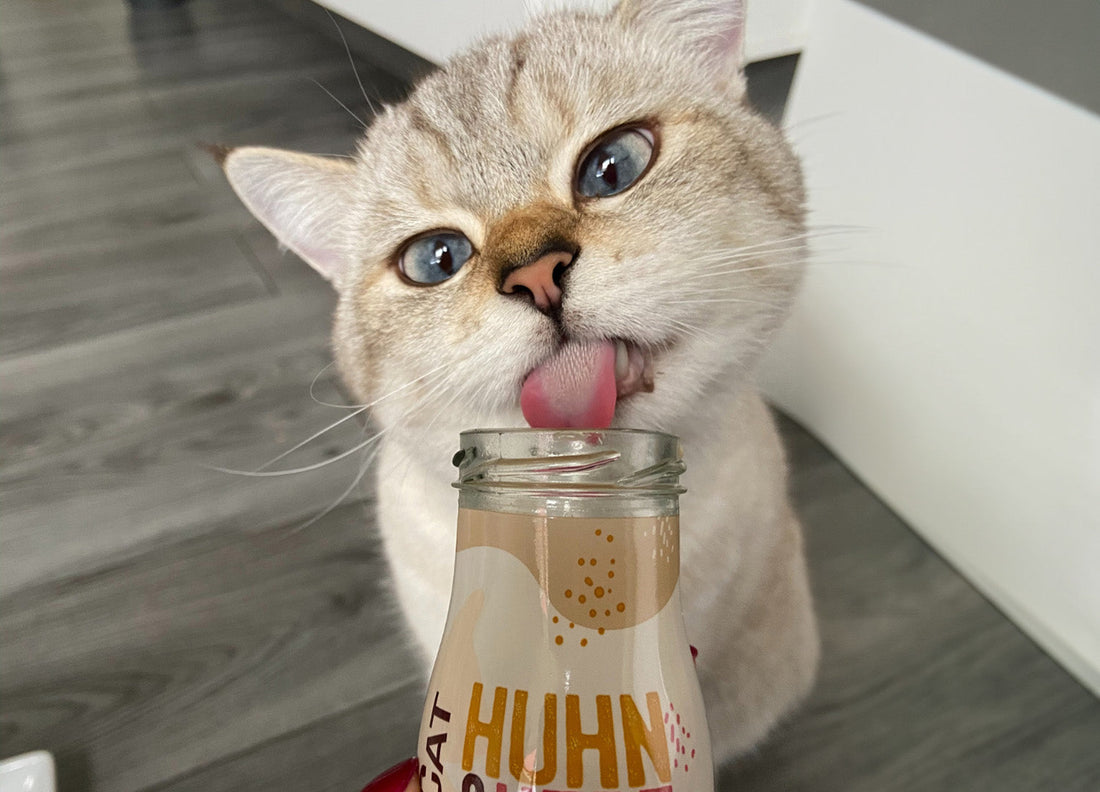 Zeigt eine Katze welche genüßlich an einer Flasche SmoothieCat Huhn schleckt.