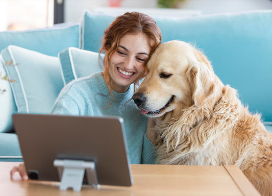 Online-Tierärzte – gut oder schlecht?