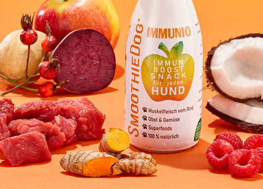 Zeigt die Hundesmoothie Sorte Immunio (Rind) vor einem orangenen Hintergrund. Daneben sind die Zutaten verteilt.