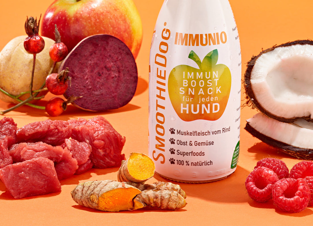 Zeigt die Hundesmoothie Sorte Immunio (Rind) vor einem orangenen Hintergrund. Daneben sind die Zutaten verteilt.