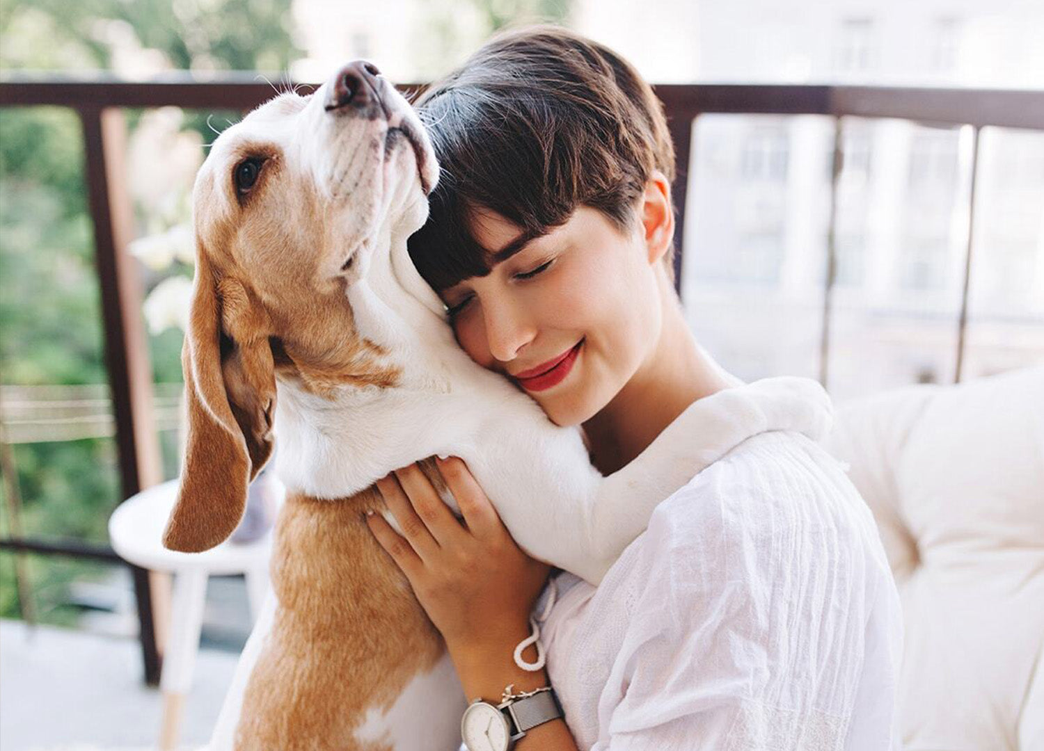 Therapie Hund und Mensch