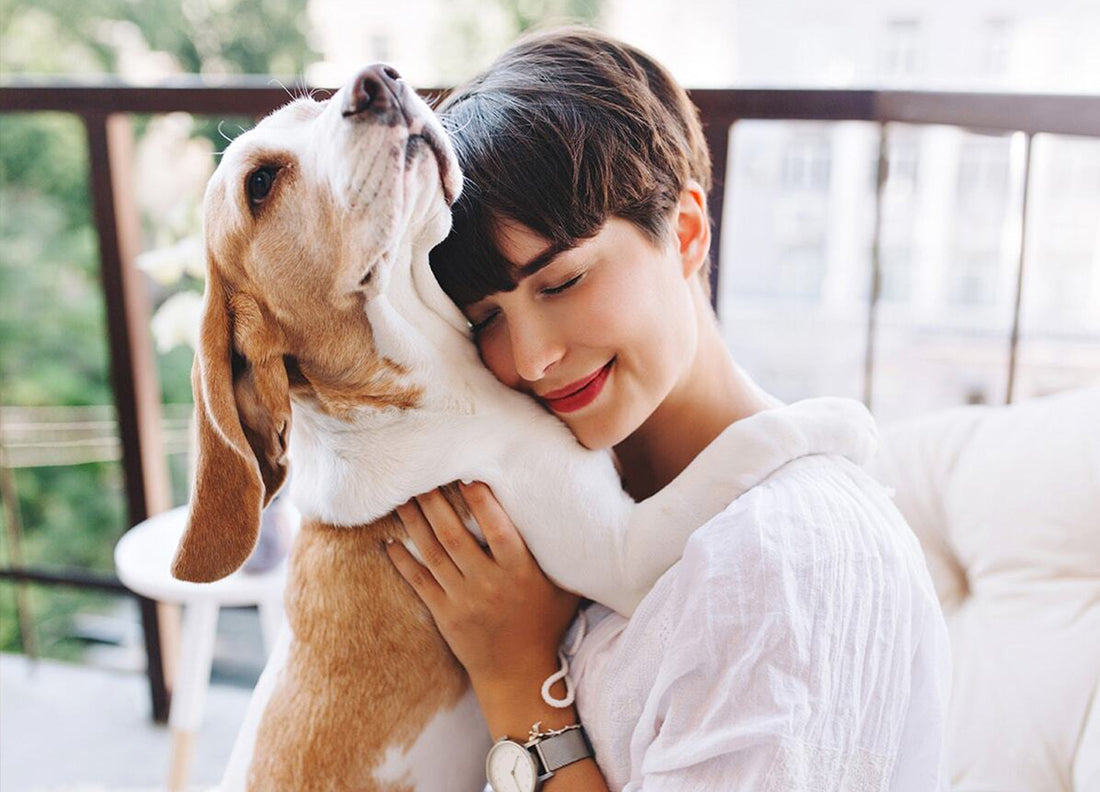 Therapie Hund und Mensch
