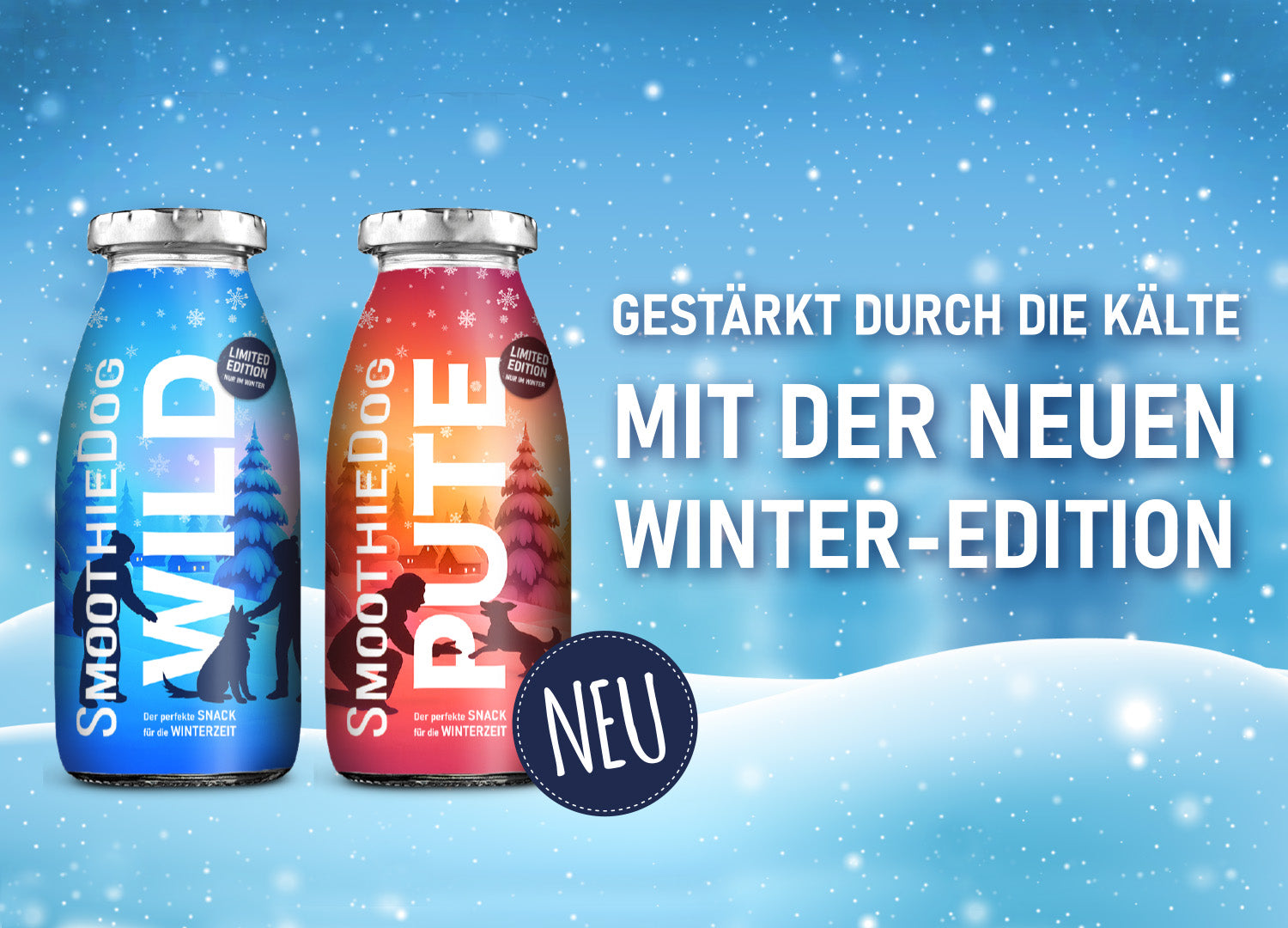 Tipps für die Winterzeit mit Hund