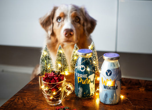 Zeigt die Hundesmoothies Winter Wild & Winter Pute weihnachtlich dekoriert. Im Hintergrund schaut ein Hund auf die beiden Flaschen.