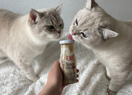 Zwei Katzen schlecken an einer Flasche SmoothieCat Katzensmoothie Ente