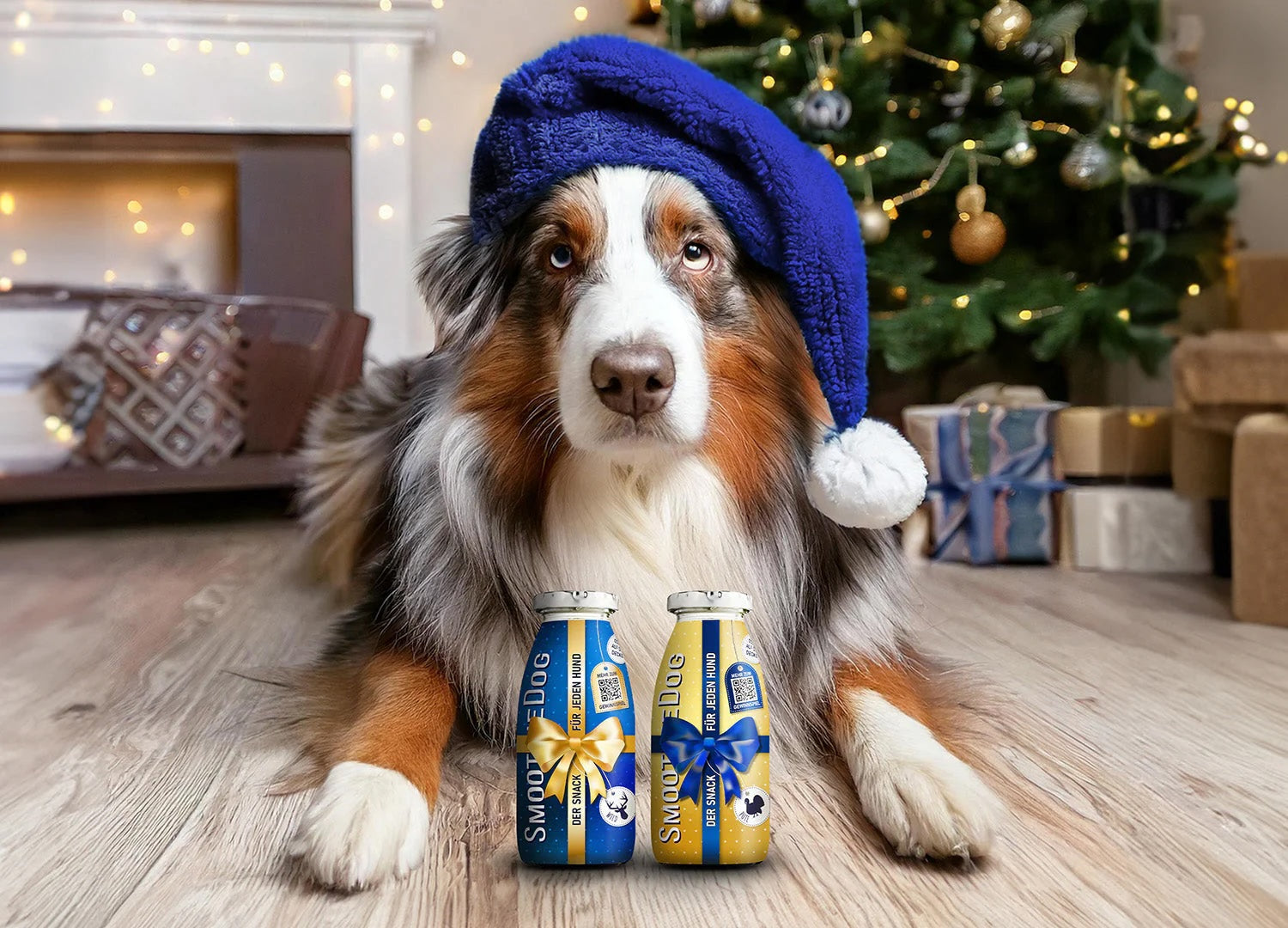 Winter Edition 2024 mit Hund