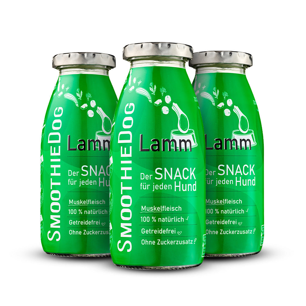files/1.1_Hundesmoothie_Lamm.jpg