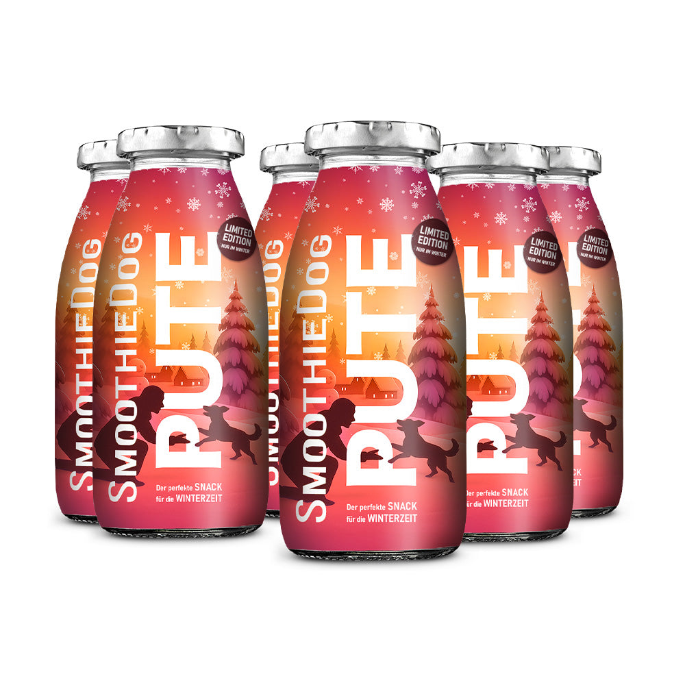 SmoothieDog Winter-Edition PUTE im 6er-Pack (6x 250ml.): Sechs Glasflaschen im rot-orangen Winterdesign mit Schneeflocken, verschneiten Tannenbäumen und der Silhouette von Mensch und Hund. Die Flaschen tragen den Hinweis „Limited Edition – nur im Winter“ sowie „Der perfekte Snack für die Winterzeit“. Saisonaler Hundesmoothie für die kalte Jahreszeit.