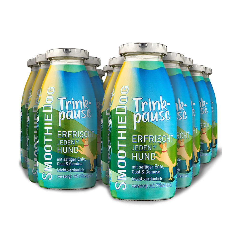 12er-Pack (12x 250ml.)