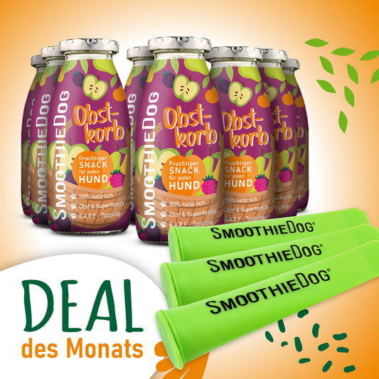 SmoothieDog Deal des Monats: Fruchtiger Hundesmoothie „Obstkorb“ im 8er-Pack (8x 250ml.) aus Obst und Superfoods, kombiniert mit drei grünen, wiederverwendbaren Eisformen – perfekt für sommerliche Erfrischung.