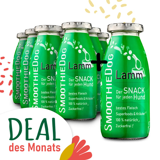 SmoothieDog Deal des Monats April