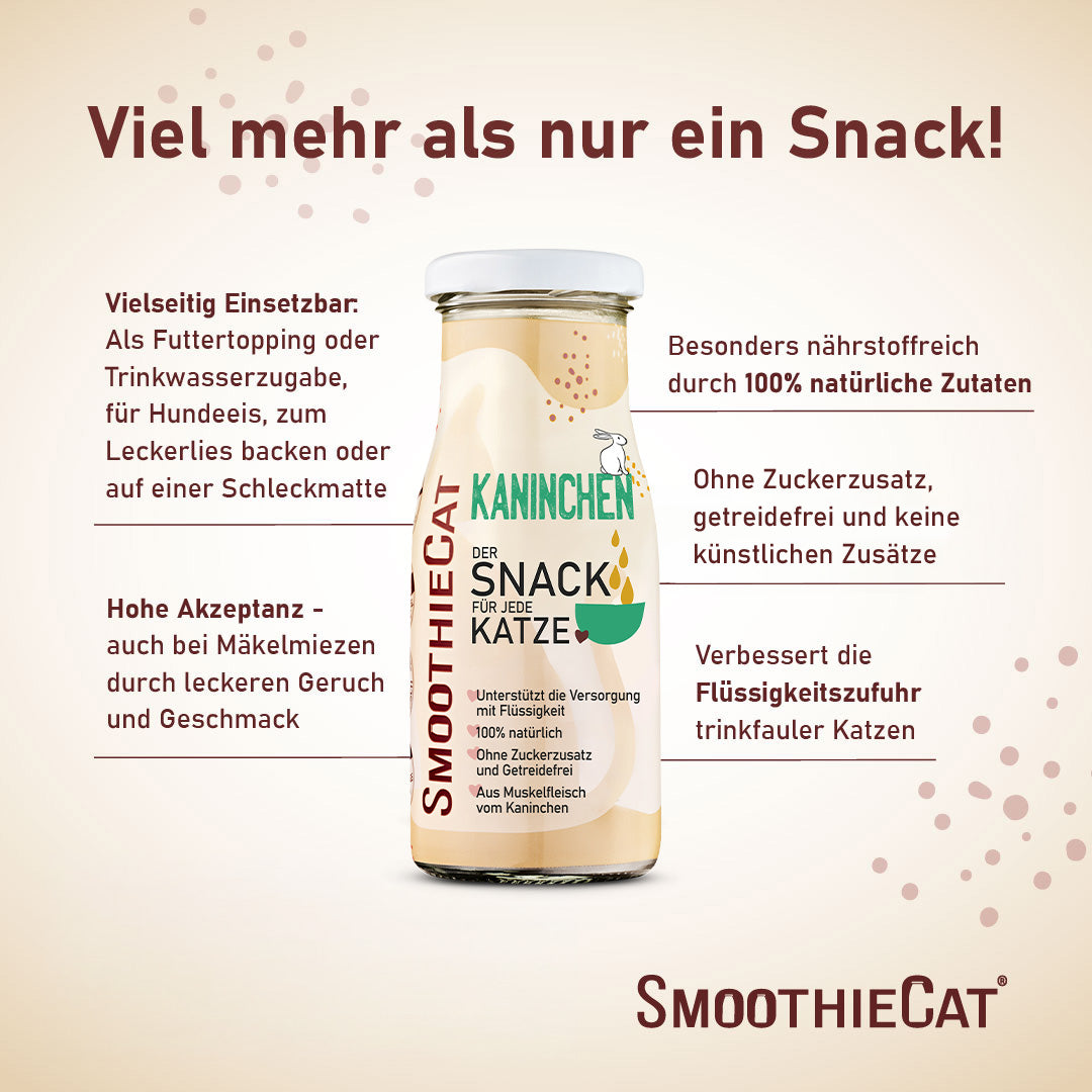 Werbegrafik für SmoothieCat Kaninchen – zeigt die Vorteile des Katzensmoothies: vielseitig einsetzbar (als Topping, Trinkwasserzusatz, für Leckerlies oder Schleckmatten), 100% natürliche Zutaten, frei von Zucker, Getreide und Zusatzstoffen. Besonders geeignet für mäkelige und trinkfaule Katzen. Erhältlich als 3er-Pack (3x 150ml.), 6er-Pack (6x 150ml.) und 12er-Pack (12x 150ml.). 