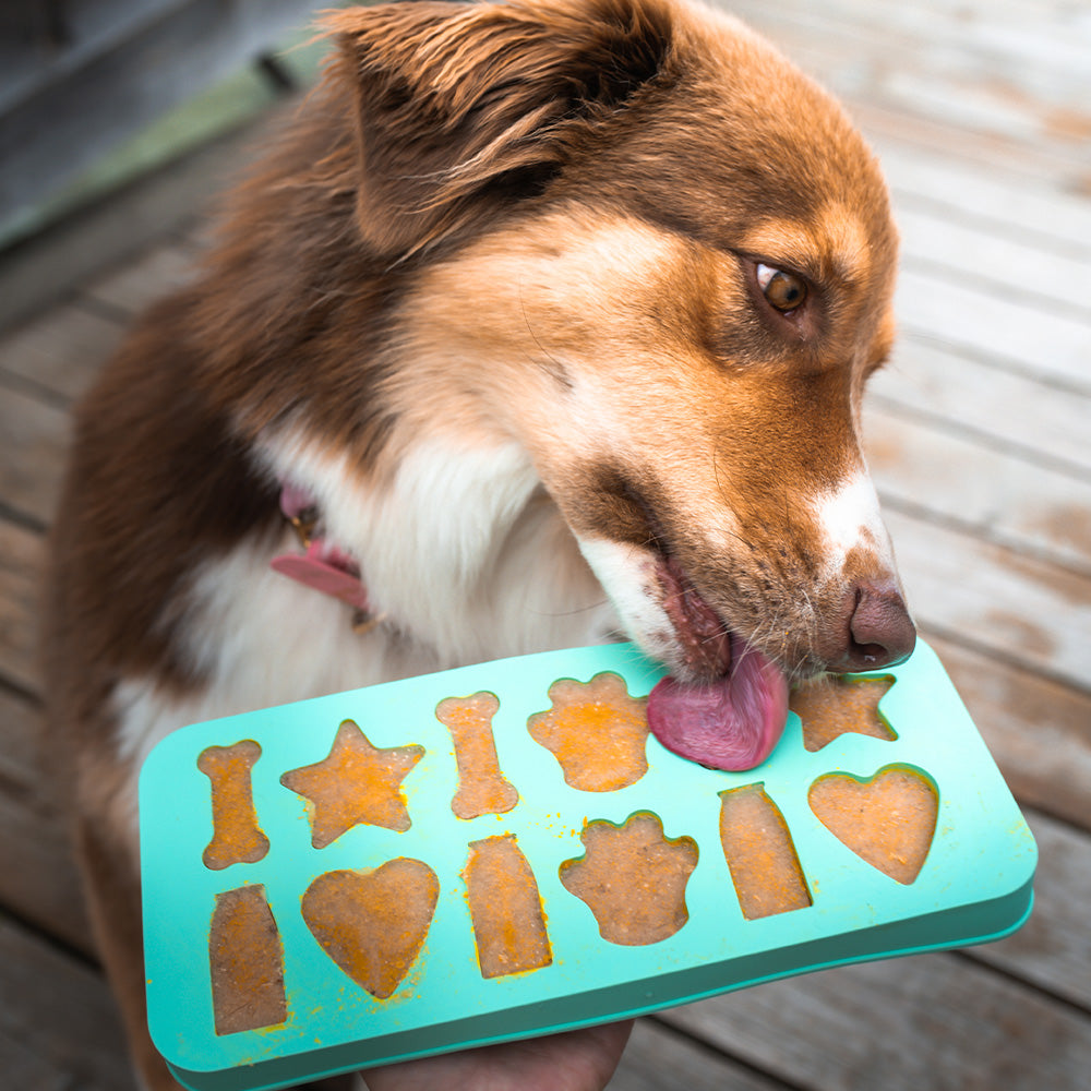 Hundesmoothie Eiswürfelform Bundle