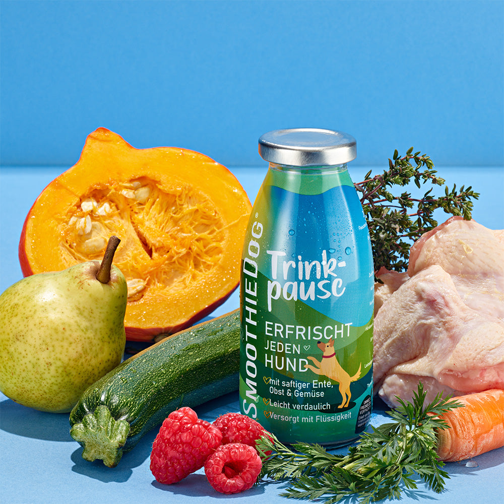 Hundesmoothie Trinkpause (Ente)