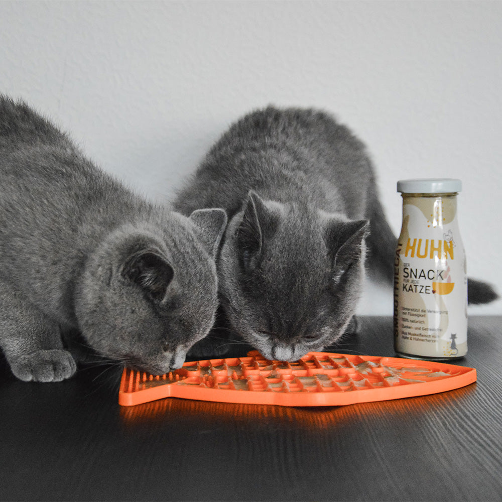 Schleckmatte Katze - LickiMat Casper