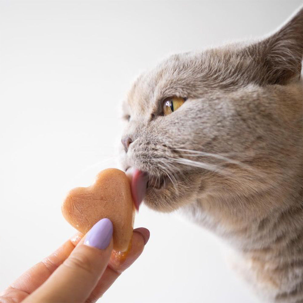 SmoothieCat Eiswürfelform