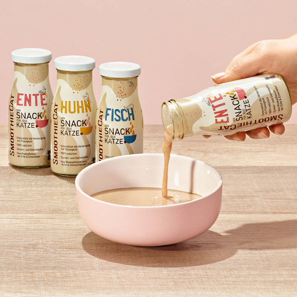 Katzensmoothie Mix Probierpaket