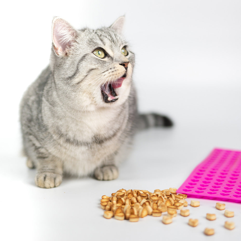 Katzensmoothie Trixie Backmatte Bundle