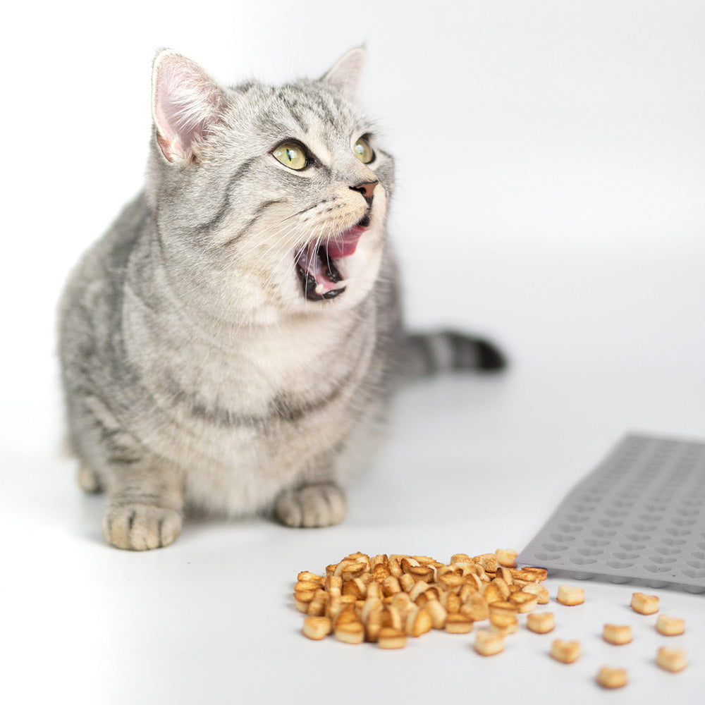 Eine grau getigerte Katze mit grünen Augen sitzt vor einer Portion kleiner, herzförmiger Leckerlis auf einem weißen Untergrund. Neben der Katze liegt eine hellgraue Silikonbackmatte mit Herzmulden. Die Katze schaut interessiert und leckt sich das Maul.