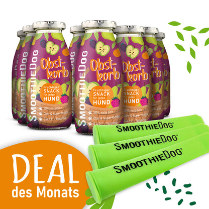 SmoothieDog Deal des Monats: Fruchtiger Hundesmoothie „Obstkorb“ im 8er-Pack (8x 250ml.) aus Obst und Superfoods, kombiniert mit drei grünen, wiederverwendbaren Eisformen – perfekt für sommerliche Erfrischung.