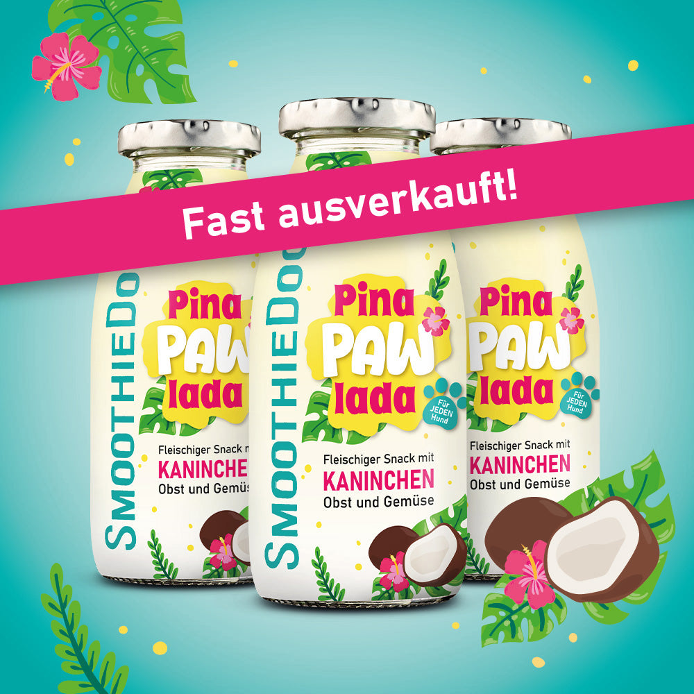 Drei Flaschen SmoothieDog Pina Pawlada mit Kaninchen, Obst und Gemüse stehen nebeneinander auf türkisfarbenem Hintergrund. Eine stilisierte Kokosnuss und tropische Pflanzen rahmen das Bild. Über die Flaschen verläuft ein pinkes Banner mit der Aufschrift „Fast ausverkauft!“. Die Summer-Edition ist als begrenzt verfügbar hervorgehoben.
