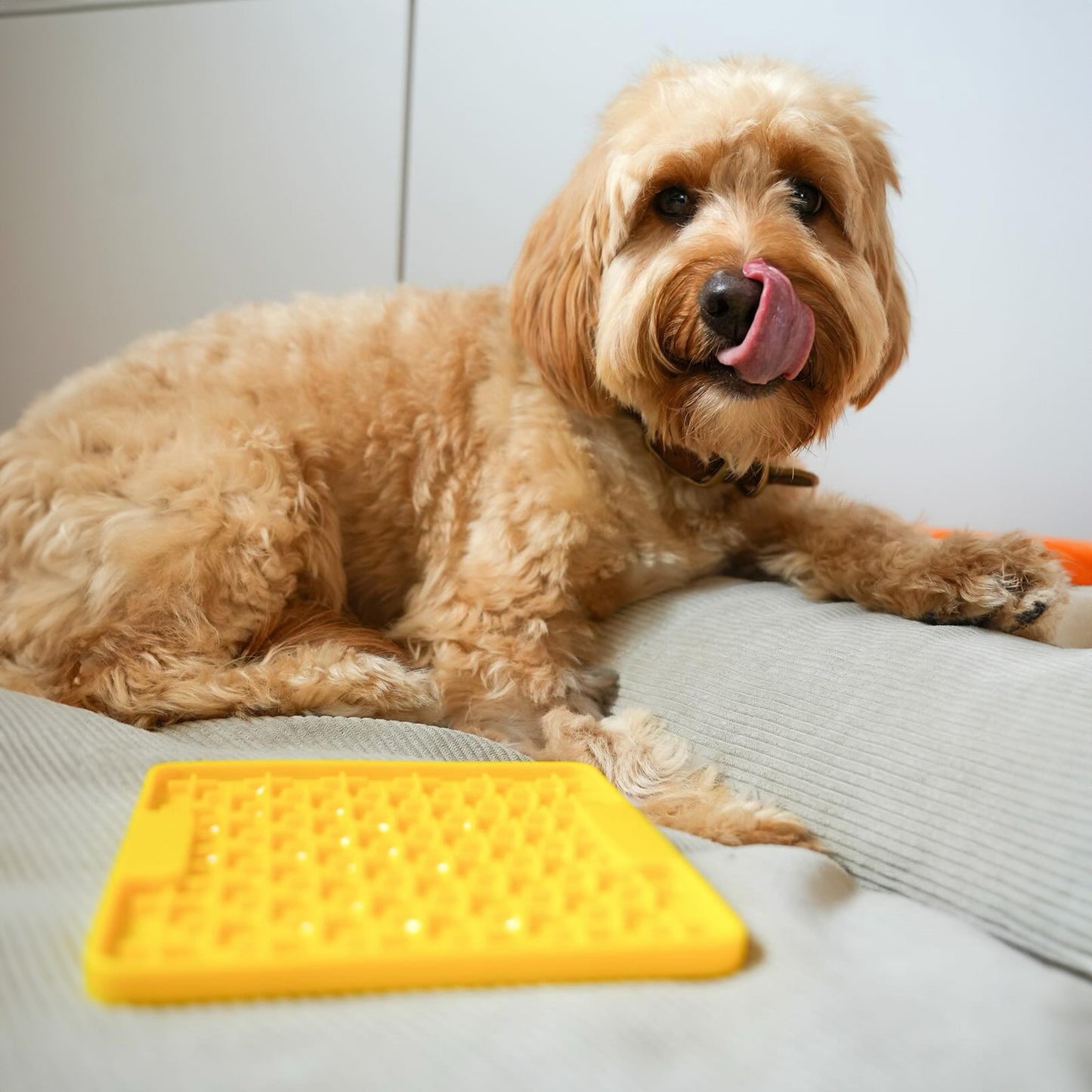 Schleckmatte Hund - LickiMat Buddy Mini