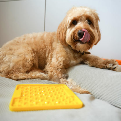 Schleckmatte Hund - LickiMat Buddy Mini