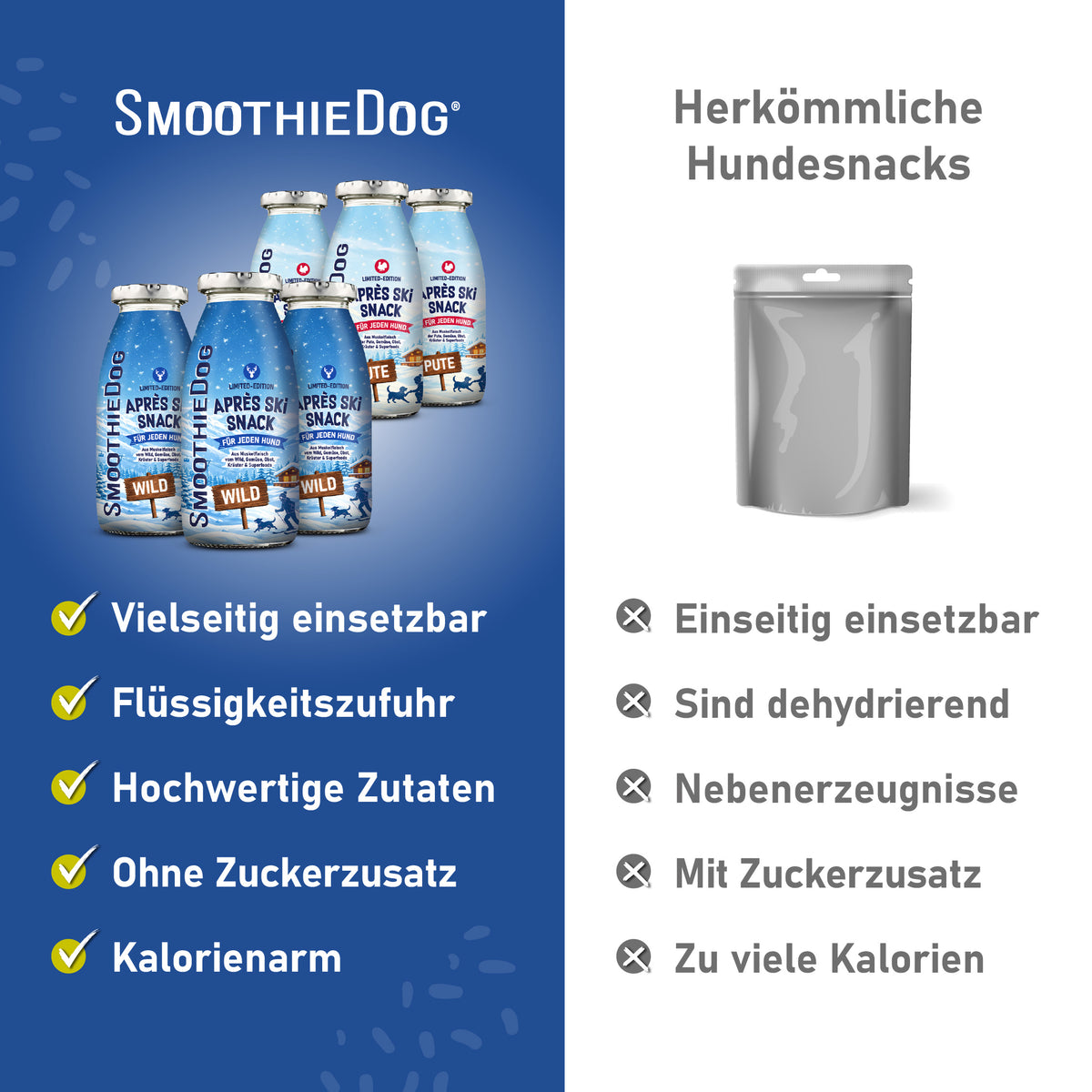 Hundesmoothie Winter Schleckball Bundle