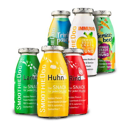 Hundesmoothie LickiMat-Large Bundle