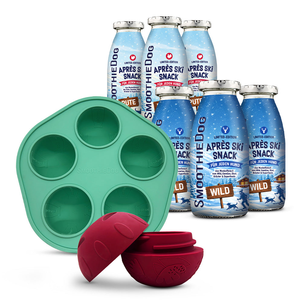 Hundesmoothie Winter Schleckball Bundle