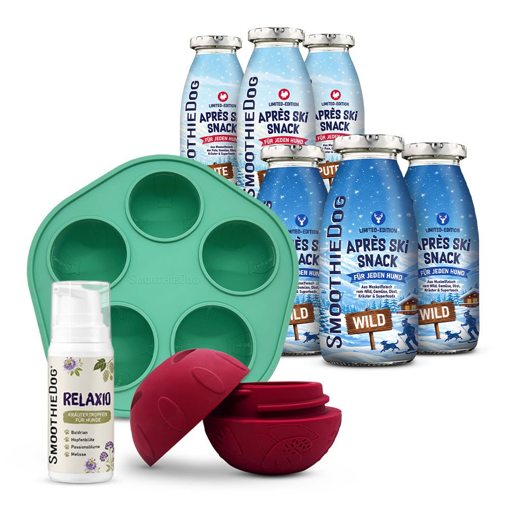 SmoothieDog Silvester-Bundle Winter – Komplettset