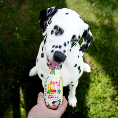 Hundesmoothie Deal des Monats Juli