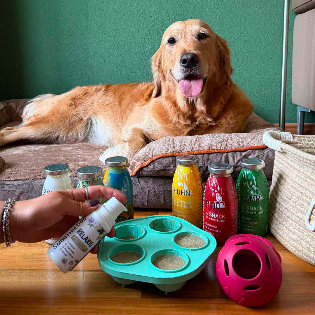 SmoothieDog Silvester-Bundle Mix + Relaxio