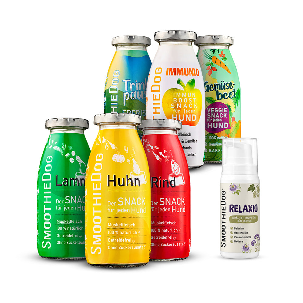 SmoothieDog Silvester-Bundle Mix + Relaxio