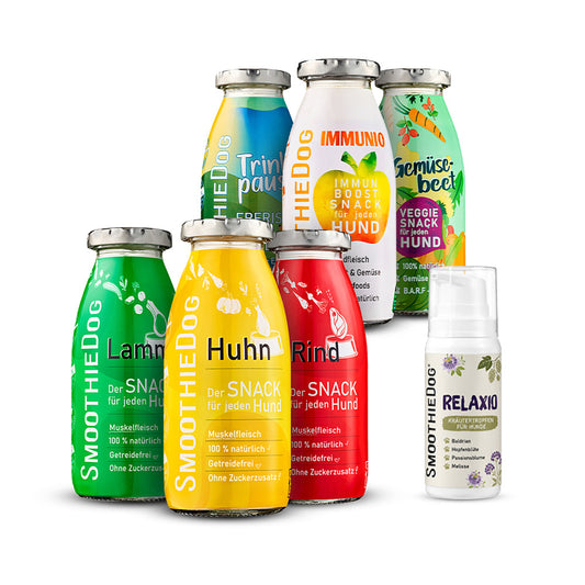 SmoothieDog Silvester-Bundle Mix + Relaxio