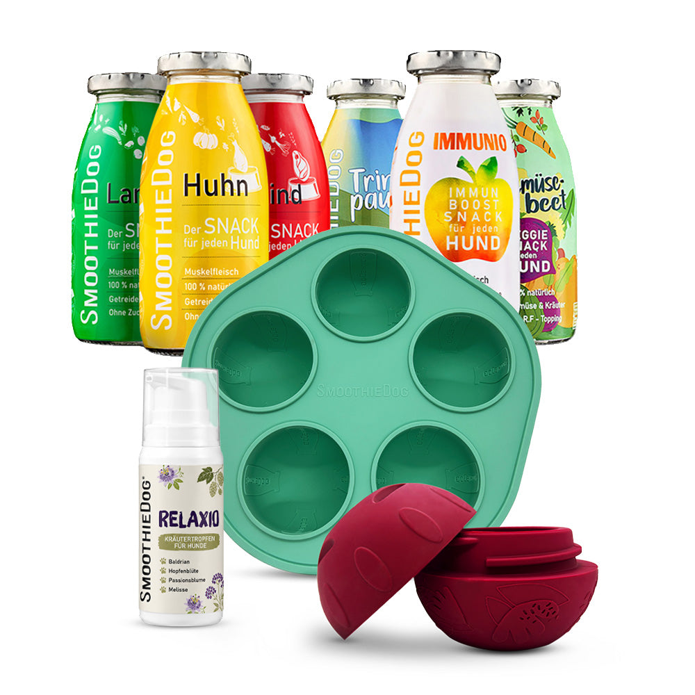 SmoothieDog Silvester-Bundle Mix – Komplettset