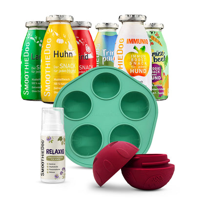 SmoothieDog Silvester-Bundle Mix – Komplettset