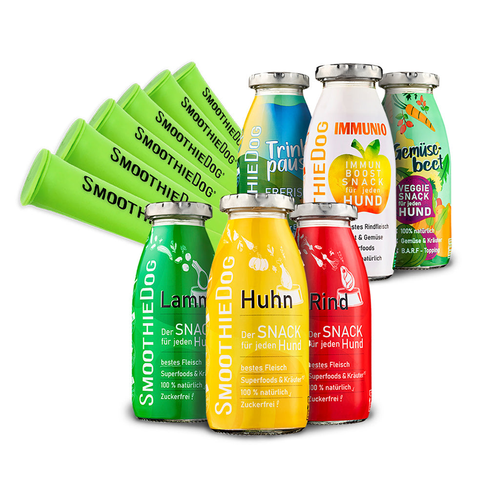 Hundesmoothie IcePop Bundle