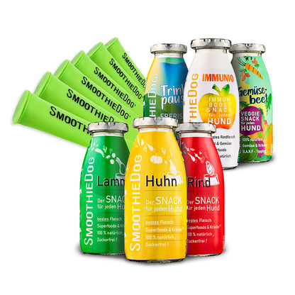 Hundesmoothie IcePop Bundle